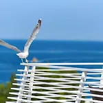 Hotel Albatros Plava Laguna